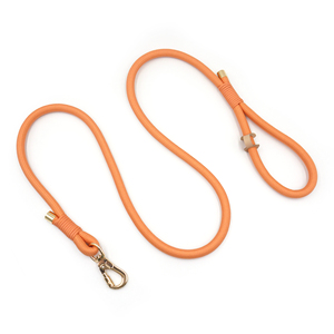 TikTok Shop Bestseller Trend Haustierleinen, Polyester-Hundeleine, Bunte Seil-Hundeleine 150cm, Goldene Schnallen-Seilhalsung für Hunde - Product Image 3