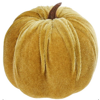 Kaki