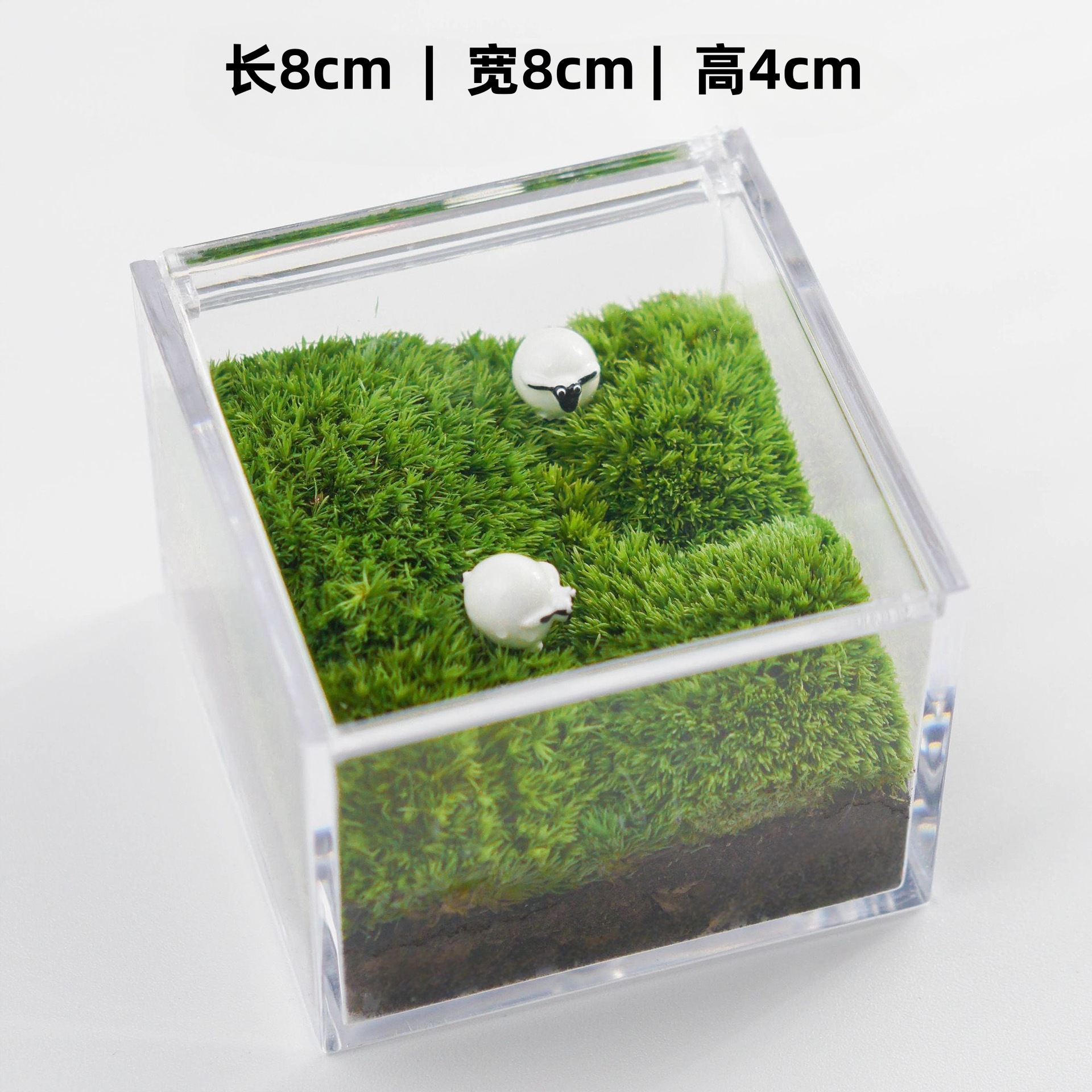 Upgraded version (two sheep, 8x8x4cm)