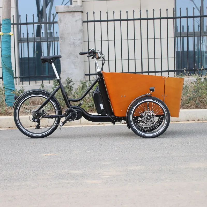 Triciclo reclinata cane cargo bike elettrico cane cargo bike moto usate