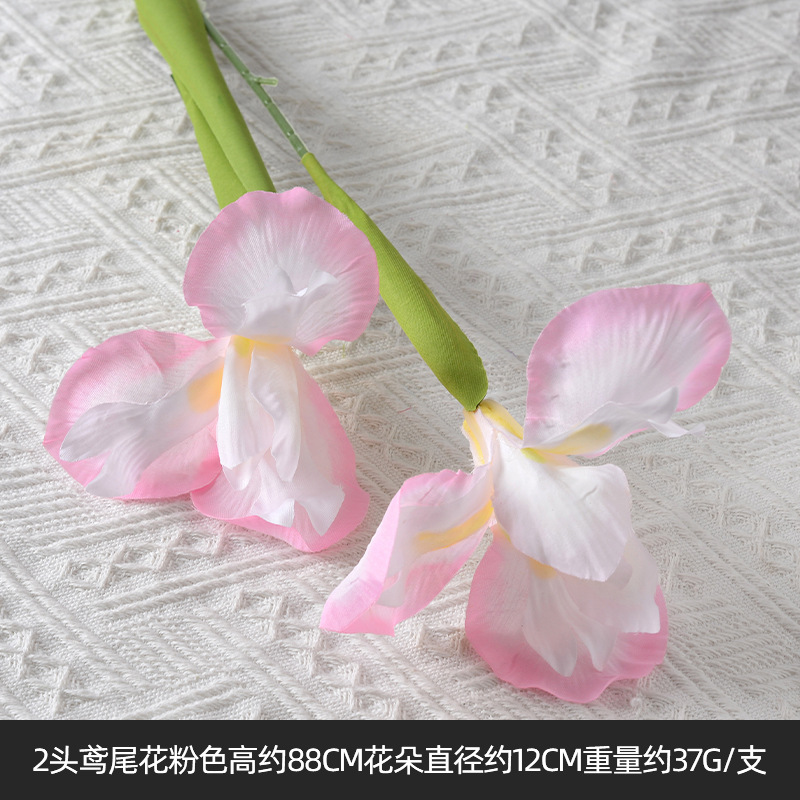 2 iris rose
