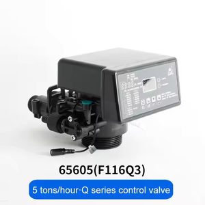 Valvola di controllo dell'addolcitore Runxin F116Q1 F116Q3 valvola di controllo automatica dell'acqua industriale valvola di controllo del filtro manuale - Product Image 3