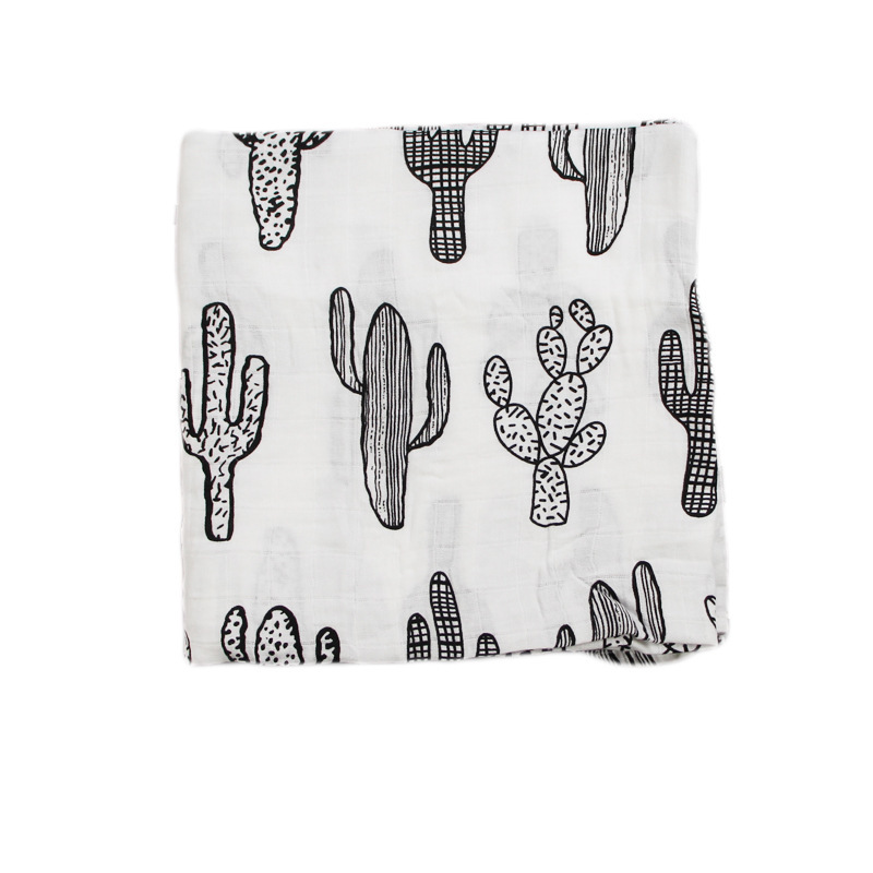 Cactus in bianco e nero
