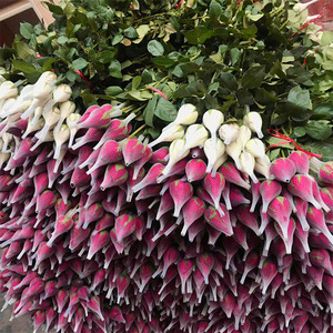 Prodotti della fabbrica di protezione bocciolo di rosa del fiore dell'involucro schiuma assorbe netto