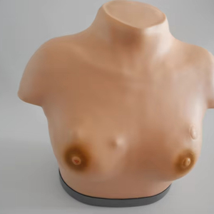 Advanced Breast Visualization and <strong>Palpation</strong> Model - Product Image 1