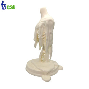 Top Quality Toys Gifts <strong>Modeling</strong> and <strong>Rendering</strong> Industrial Product Make Customized Action Figure Model Image <strong>3D</strong> <strong>Modeling</strong> Proto - Product Image 3
