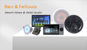Unidad receptora de Audio, sistema de traducción simultánea, Digital completo, multilenguaje, inalámbrica, canal T - Product Image 2