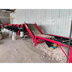 Manufacturer Wholesale Vegetables <strong>Sorting</strong> <strong>Machine</strong> Garlic Processing Grader Sorter Garlic Sorter <strong>Machine</strong> for Factory <strong>Automation</strong> - Product Image 4