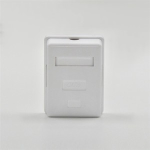 Ethernet <span class=keywords><strong>RJ45</strong></span> Cat6 Cat5 cổng kép bề mặt gắn kết - Product Image 6