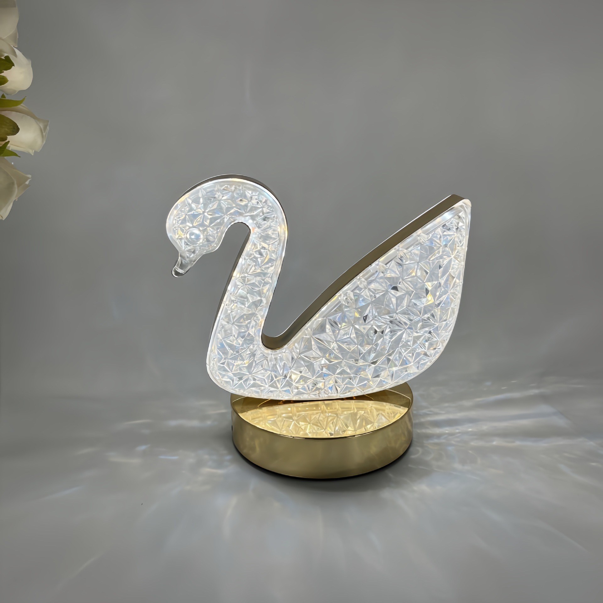 Cisne