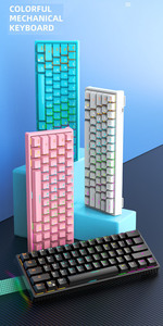 Custom <strong>Computer</strong> Multi <strong>Function</strong> Mechanical <strong>Keyboard</strong> Gaming <strong>Keyboard</strong> White Label 60% Mini Mechanical Gaming <strong>Keyboard</strong>