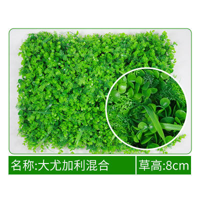 Mélange de gros eucalyptus