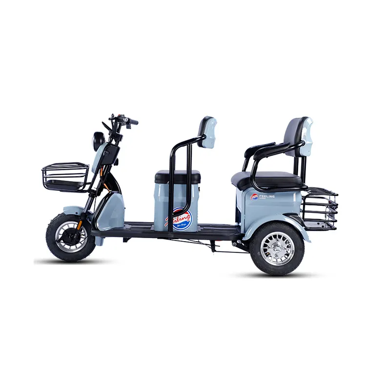Mobilität roller 24 V Motor geschlossen Elektro pedal Fahrrad Trex 3 Rad Motorrad elektrische Roller Kabine Auto