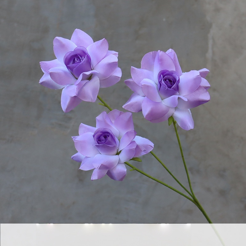 Viola chiaro 1