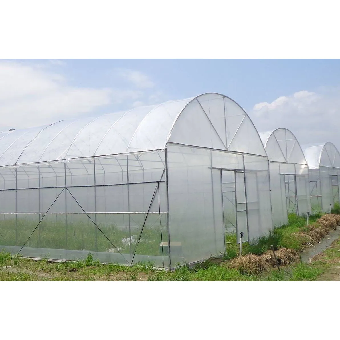 農業温室デザイン無料農業屋内大経済トンネルプラスチック温室野菜用
