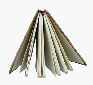 สมุดโน้ตหรูหรา ดีไซน์เฉพาะตัว ผลิตตามสั่ง ปกแข็งกระดาษคราฟท์หนา พิมพ์สวยงามตามสั่ง - Product Image 6