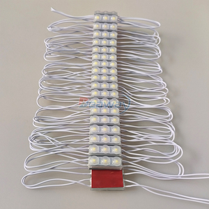 110V Mini <strong>LED</strong> Module <strong>IP68</strong> Waterproof <strong>1W</strong> 3030 SMD <strong>LED</strong> Module for Alphabetic Signs - Product Image 6