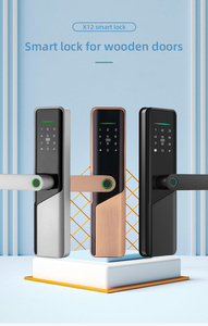 メインドア入口ロックアクセス制御ロック外部スマートデジタルドアセキュリティフロントハンドルTtlock Tuyaキー入力 - Product Image 2