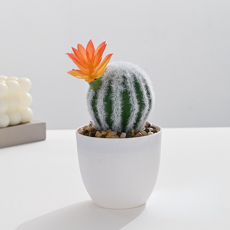 Small Bonsai (Plastic Basin)