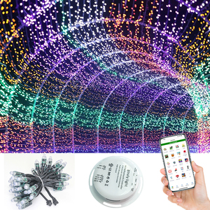12mmスマートLEDポイントピクセルモジュールucs2904rgbwピクセルLED RGB 12VストリングライトLEDピクセルws2811 - Product Image 5