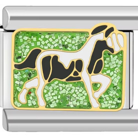 1741-prairie white horse