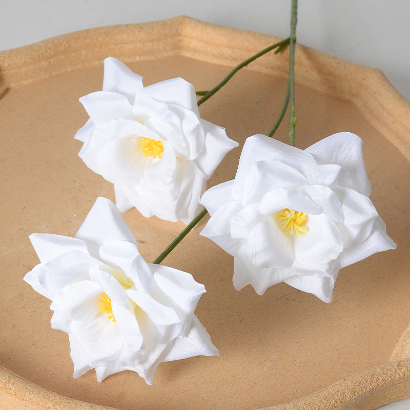 3 roses blanches