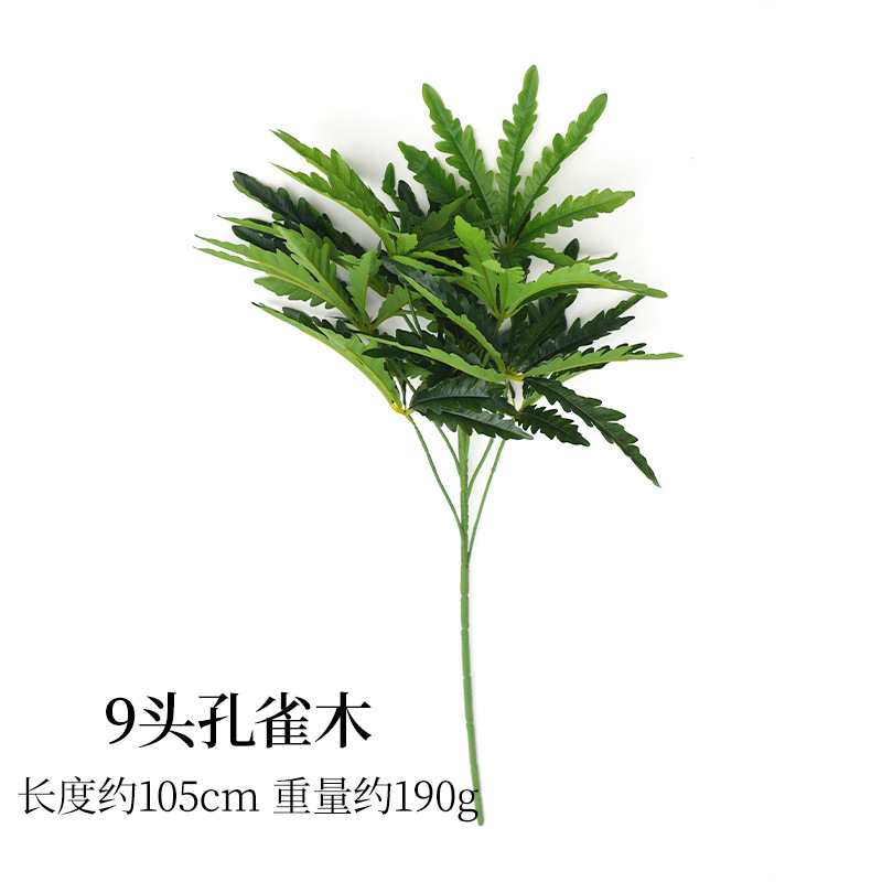 Bois de paon à 9 têtes