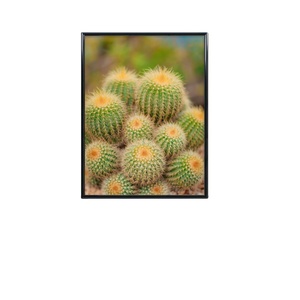 6x8 Black <strong>Frame</strong> for 4x6 <strong>Matted</strong> or 6x8 Unmatted Photos Laminated Wood <strong>Frame</strong> for Tabletop and Wall Mounting - Product Image 1