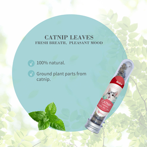 Bulk <strong>Catnip</strong> Leaf <strong>Catnip</strong> Mint Herb Cat Treats Powder Snacks Healthy Fresh <strong>Catnip</strong> Leaves - Product Image 5