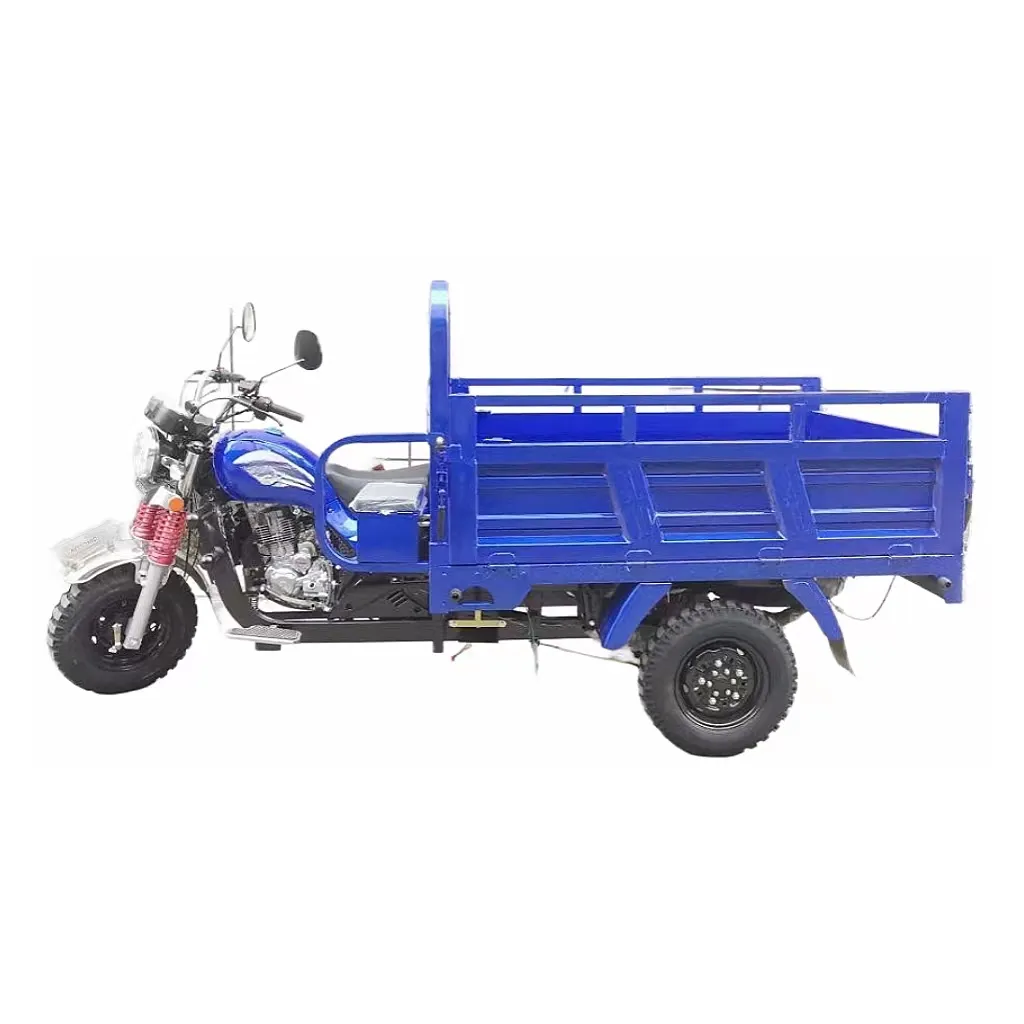 Nieuw Product Elektrische Driewieler Driewieler Motorfiets Motor Bestelwagen Cargo Trike 3 Banden Motor Driewieler