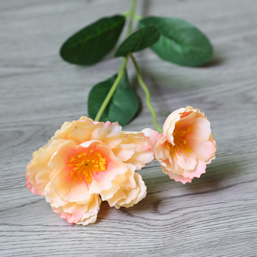 Naranja
