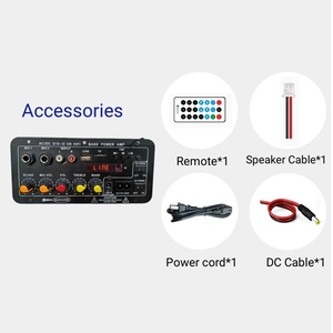 D10-II Home Amplifier 35W Single <strong>Output</strong> with for <strong>Bluetooth</strong> Radio DC12V/24V AC220V USB TF Dual MIC <strong>Input</strong> and Remote Control - Product Image 6