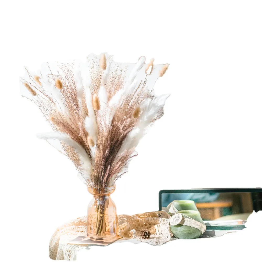 शॉपिंग वेबसाइट गर्म बिक्री पम्पास संयंत्र प्राकृतिक सूखे फूल गुलदस्ता centerpieces के लिए शादी की मेज