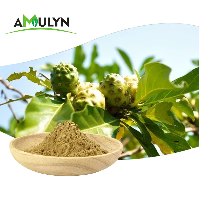 Amulyn-Polvo de extracto de Noni Natural, suministro de fábrica, el mejor precio