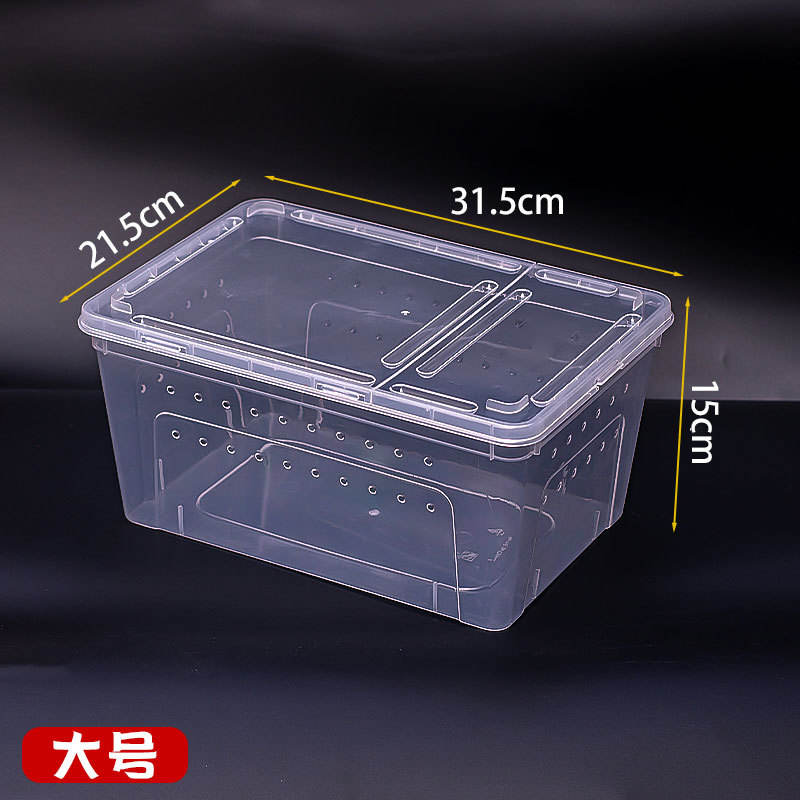 Grande taille 31521515cm-60pcs/boîte