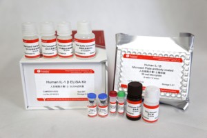 İnsan İnterlökin 1 beta IL-1 beta ELISA seti, bilimsel araştırma için - Product Image 2