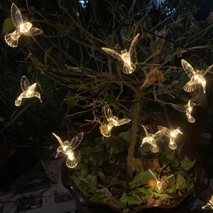 Hot bán chim ruồi gió kêu vang treo LED năng lượng mặt trời chuỗi Lights cho ngoài trời sân vườn - Product Image 4