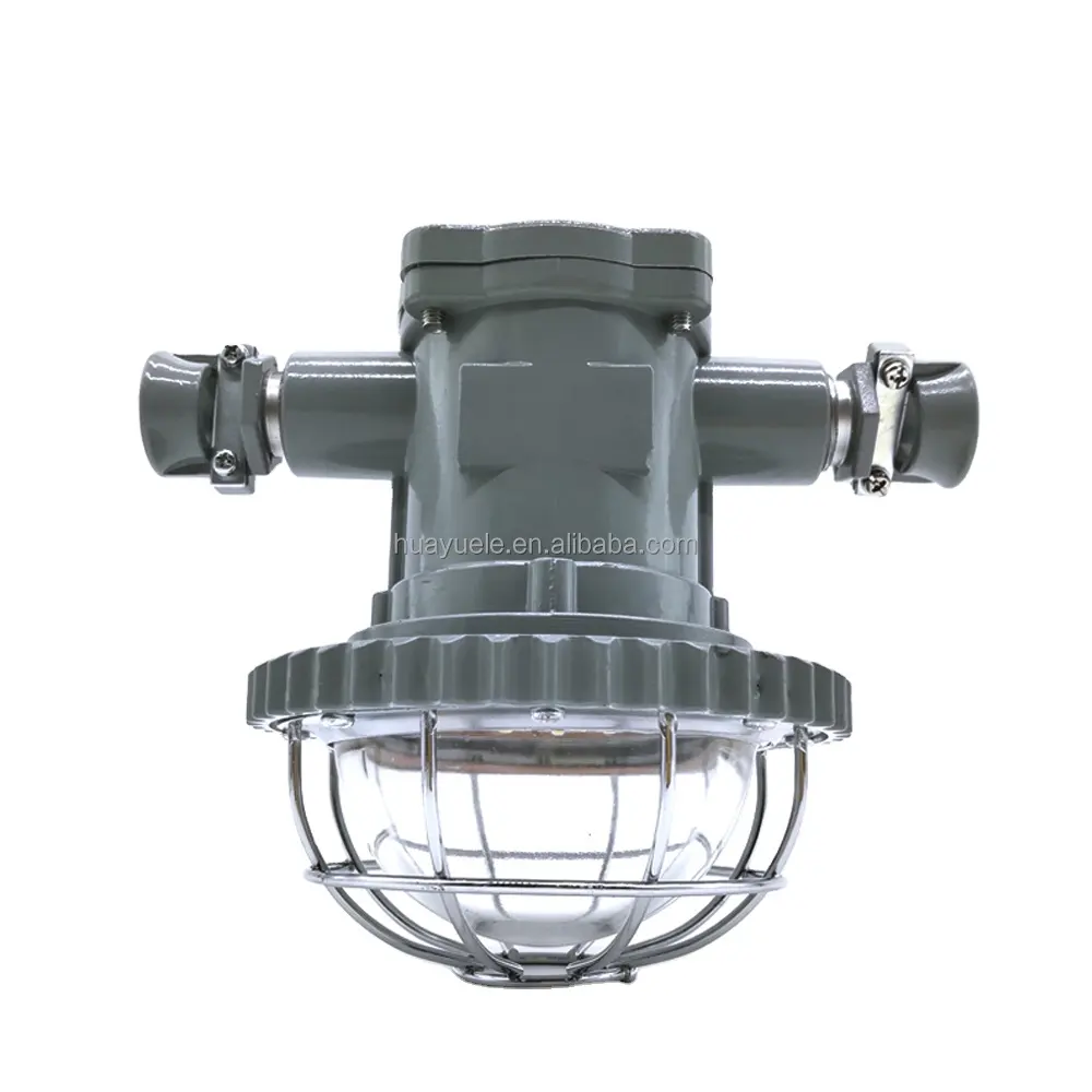 DGS24/127L(A) Explosion proof mining lamp roadway lamp high efficiency energy-saving explosion proof IP65 led lights