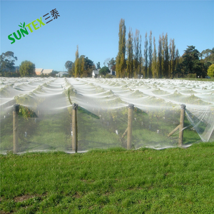 8' X <strong>100</strong>' PE Crop Protection <strong>Net</strong> With Reinforced Bottom Edge 50GSM Anti Hail Bird <strong>Net</strong> for Blueberry Orchard