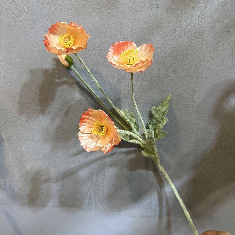 Poisson floqué à quatre têtes, rose champagne beauté.