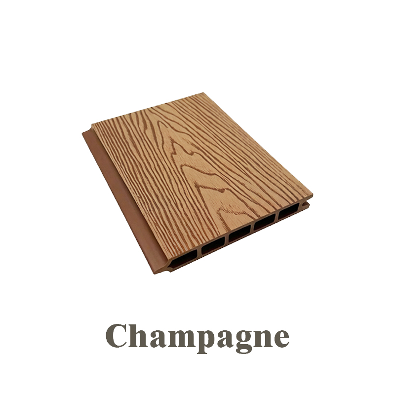 Échantillon Champagne 1ère Génération 15cm
