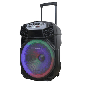2025 High Power 18&quot; Bluetooth Karaoke Multifunction Trolley Speaker with RGB Flashing Lights 2 Wireless Microphones <strong>USB</strong> TF <strong>Card</strong> - Product Image 1