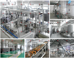 Small Business Automatic Concentrate Fruit <strong>Juice</strong> Bottling Filling Plant Machine Production Line Price - Product Image 3