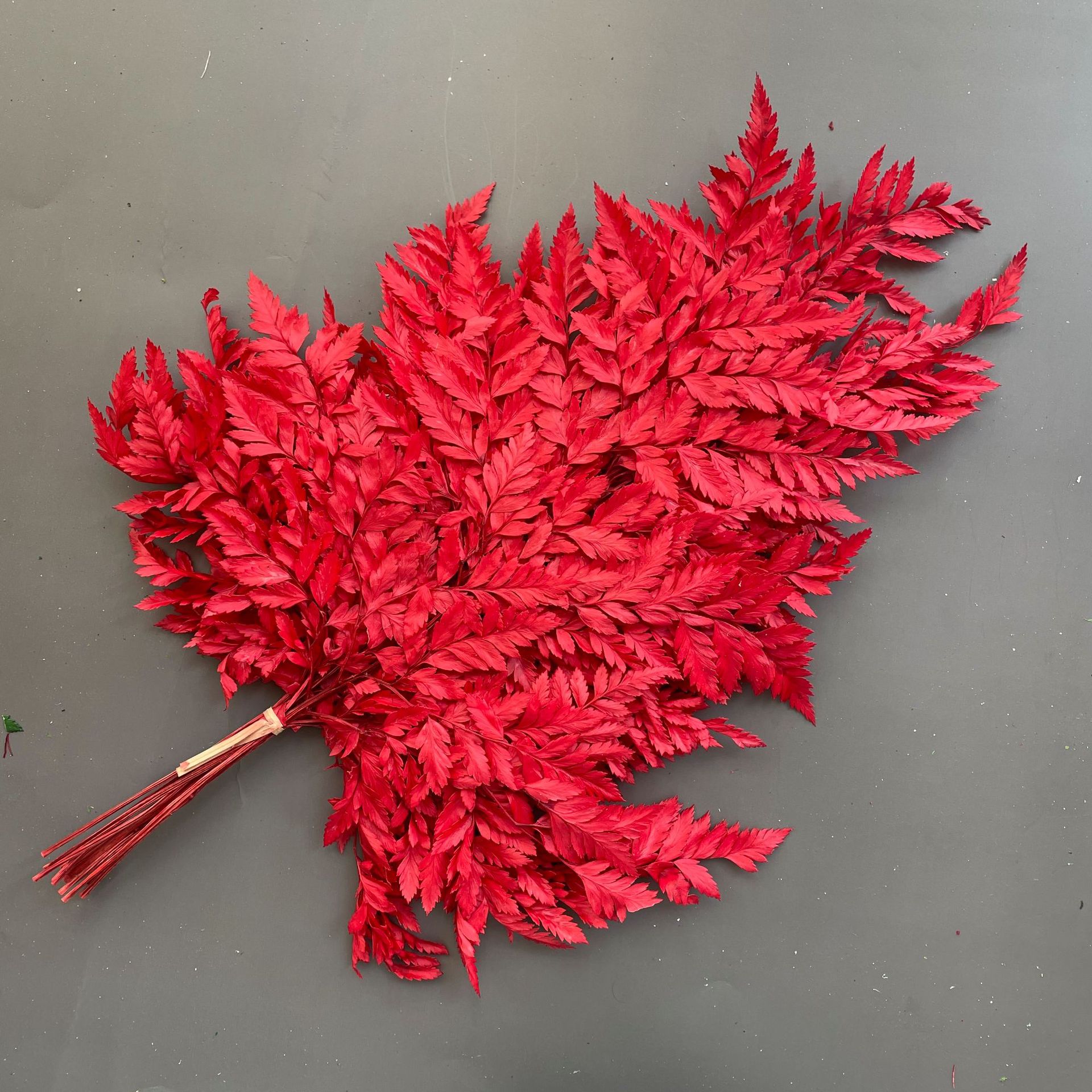 Rouge