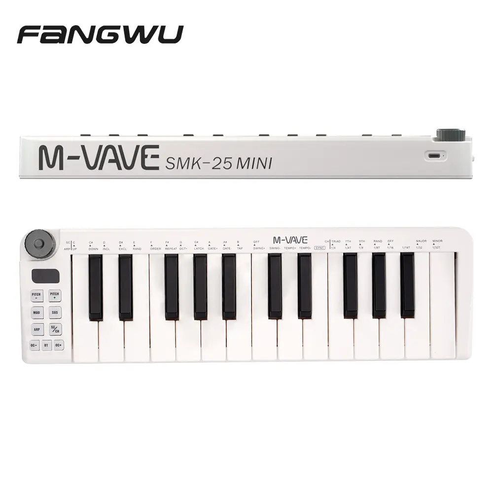 Pianoforte elettronico digitale professionale Usb 25 tasti strumento musicale Controller tastiera Midi