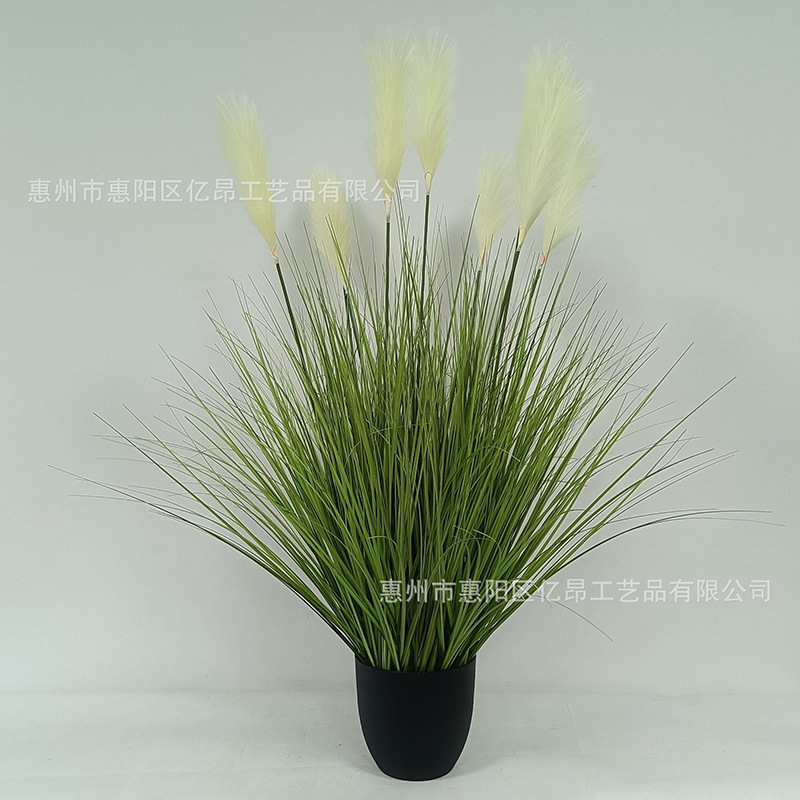 120cm spring color 9 head reed explosion potted plant