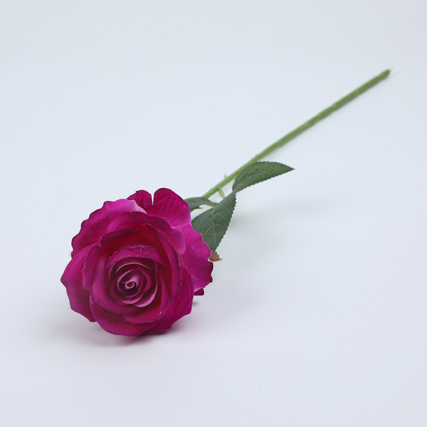 Pourpre