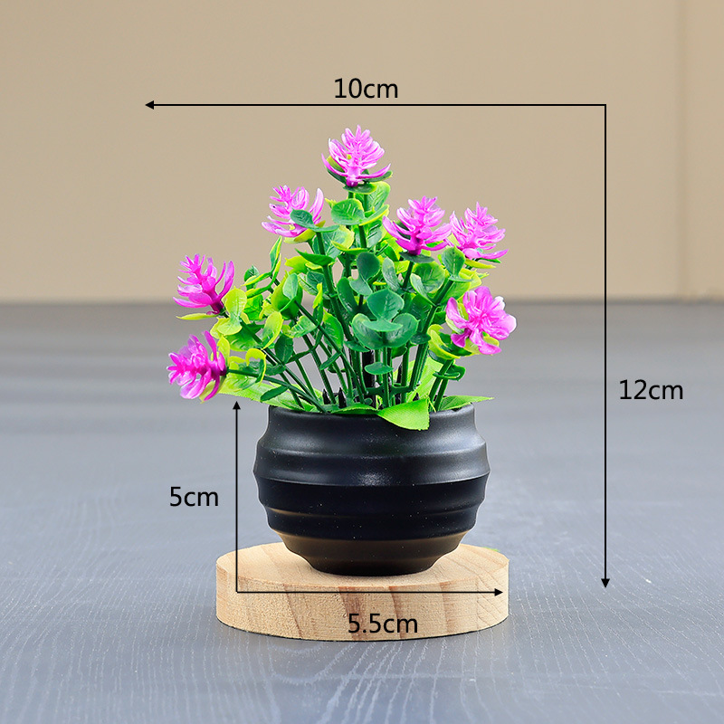 Coupe de football noire + couleur lotus eucalyptus