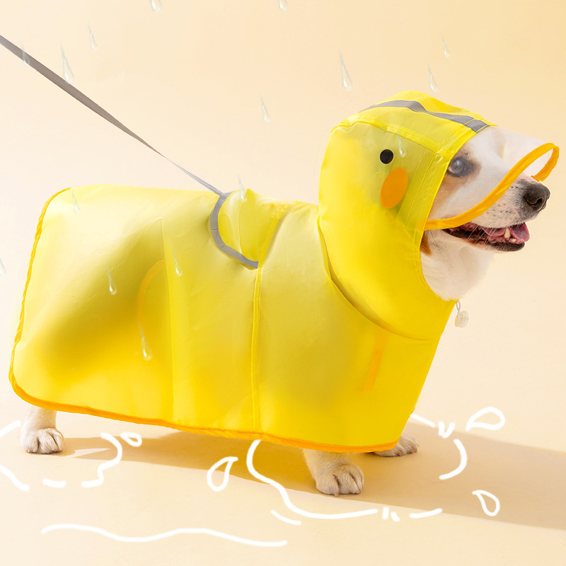 amarillo