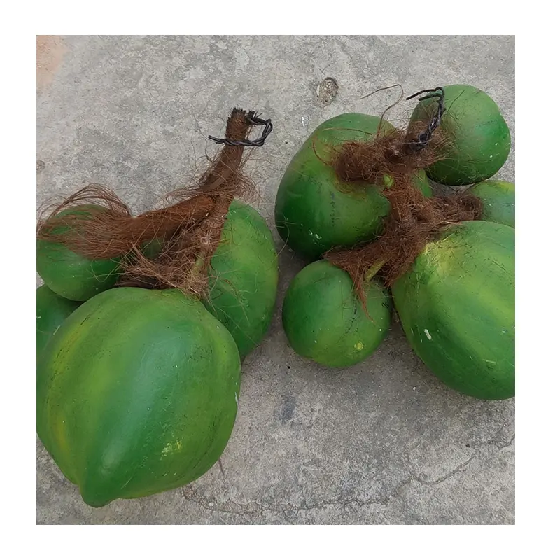 5 pièces de fruits de noix de coco artificielles, haute qualité, en fibre de verre, bon marché pour vente, en stock